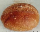 Foto langkah ke 16 dari resep Rye Pumpkin Sourdough Bread.