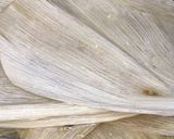 A picture of step 1 of Mushroom Tamales.