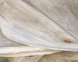 Foto del paso 1 de la receta: Tamales de setas