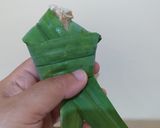Foto langkah ke 4 dari resep Gai Hor Bai Toey - Thai Pandan Chicken (Ayam Pandan Thailand).