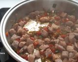 Foto del paso 4 de la receta Pavo con estrellitas, en cazuela