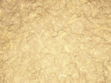 تاكوس المثلثات