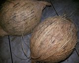 Foto del paso 2 de la receta: Arroz con coco// Paso a paso