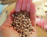 VEGÁN Brokkolikrémleves magtejföllel recept fázis 5 fotója