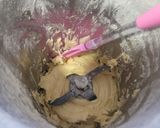 Foto del paso 4 de la receta: Galletas craqueladas de limón en un plis plas con Thermomix