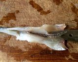 Foto del paso 11 de la receta: Técnicas de cocina: Limpiar el pescado