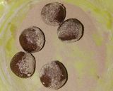 Foto langkah ke 8 dari resep Chocolate Milky Balls.