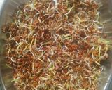 A picture of step 1 of Sprouted Finger Millet Stuff Paratha.
