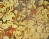Foto del paso 3 de la receta: Radiatori en salsa de verduras