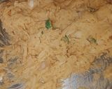 A picture of step 3 of Mix veg chilla.