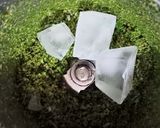 A picture of step 2 of Paan Shots.