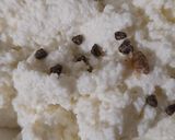 সহজ সন্দেশ (sohoj sondesh recipe in Bengali) রেসিপির ধাপ 2 ছবি