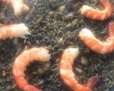 Foto del paso 16 de la receta: Fideuà negra, al estilo de Gandía