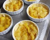 Une image de l'étape 4 de °tartelettes exotiques ananas/mangue.