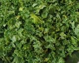 Foto del paso 1 de la receta: Ojo de bife con salteado de Kale