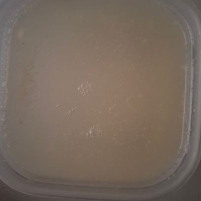 Langkah 4