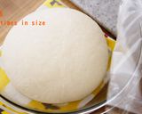 A picture of step 9 of Crispy Crust! ☆ How to make a loaf of Homemade White Bread🍞.