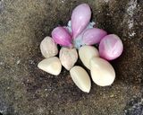 Foto langkah ke 1 dari resep Paklay sayur.