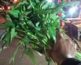 Foto langkah ke 1 dari resep Tumis Kangkung Simpel.