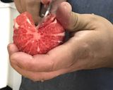 Foto del paso 2 de la receta: Mermelada de manzana y pomelo