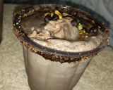 A picture of step 3 of Delicious Chocolate Milkshake.