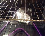 A picture of step 7 of Stuffed peppers... recycle your leftovers.