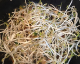 Foto del paso 7 de la receta: Pita de Chop Suey