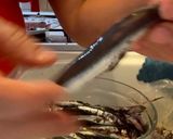 A picture of step 1 of Microwave Marinated Anchovies with Olive Oil, Lemon, Salt, and Pepper.