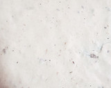 Foto del paso 4 de la receta: Masa de Pizza en Mambo 8090