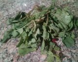 Une image de l'étape 1 de Velouté de fanes de radis et graines de tournesol grillées.