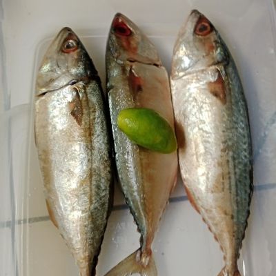 Langkah 2