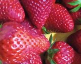 صورة لخطوة 2 من وصفة ميلك شيك الفراولة 🍓 Strawberry Milkshake