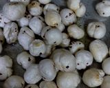 पेरी - पेरी मखाना रेसिपी चरण 1 फोटो