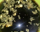 Foto langkah ke 3 dari resep Homemade kecap asin.