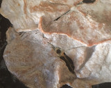 Foto del paso 6 de la receta: Bistec de cerdo en chile pasilla