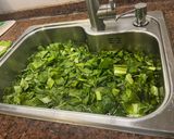 Foto del paso 1 de la receta: Cocinar acelga o espinaca en microondas