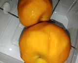 Foto langkah ke 1 dari resep Jus Mangga.