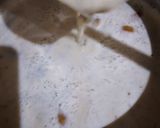 A picture of step 2 of Doodh Patti Elaichi Chai.