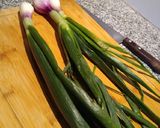 Foto del paso 3 de la receta: Papas a la crema cocción rápida