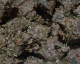 A picture of step 6 of Multigrain Daliya Muthia.