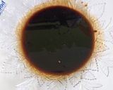 Foto langkah ke 2 dari resep Dalgona Coffee.