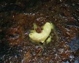 Foto langkah ke 3 dari resep Ayam Bakar Lada Hitam.