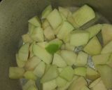 Foto del paso 1 de la receta: Puré de manzana y pera. Todo terreno