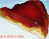 Foto del paso 9 de la receta: Tarta Tatin (de manzana)