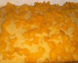 Foto del paso 8 de la receta: Cuadraditos de durazno 🍑