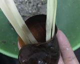 Hình bước làm 4 của món Ốc Nhồi Hấp Sả