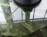 Foto del paso 2 de la receta: Mi manera de congelar acelga