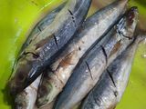 Ikan Goreng Bumbu Sarden