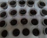 Foto langkah ke 4 dari resep Puding Cokelat Nangka.