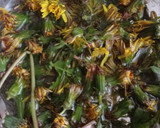 Foto del paso 1 de la receta: Jalea de diente de león